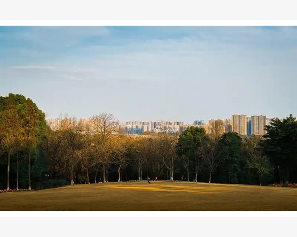 MT4交易前必做的基础设置检查清单