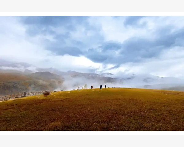 B2B与B2C哪个更适合你的业务_综合型平台与行业巨头的竞争态势