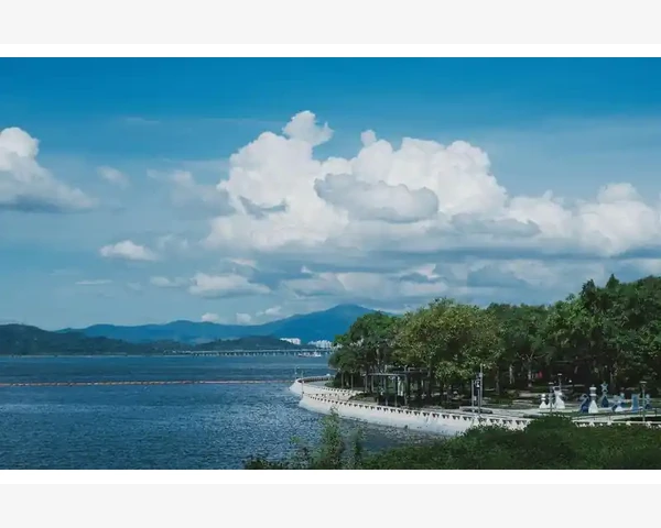 MT4信号复制禁用提示背后要满足哪些硬性条件