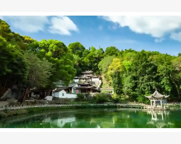MT4收藏品种一键上图表快捷操作全流程_交易功能的操作流程一定要提前练熟