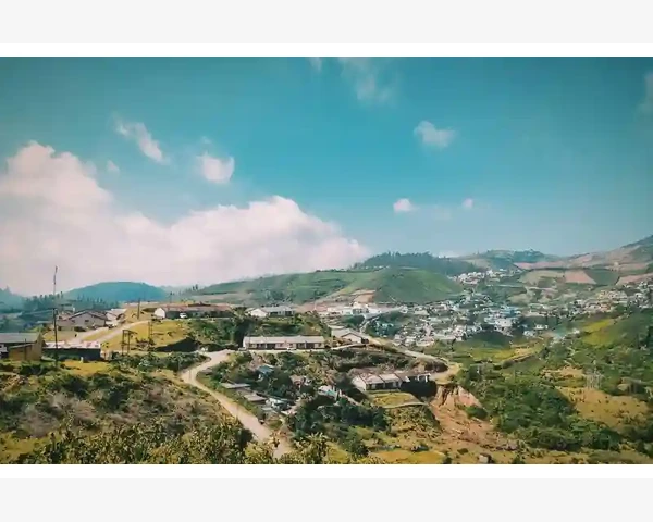 B2B与B2C哪个更适合你的业务_B2B与B2C哪个更适合你的业务