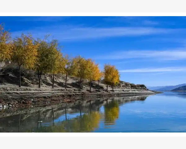 自动化皮带送料机高效运行与日常维护要点_订单管理与售后支持