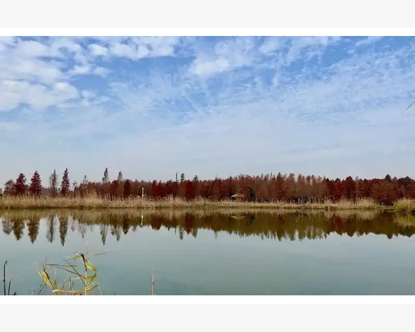 MT4提醒不响问题排查与修复方法_周期切换不是简单缩放而是观察维度改变