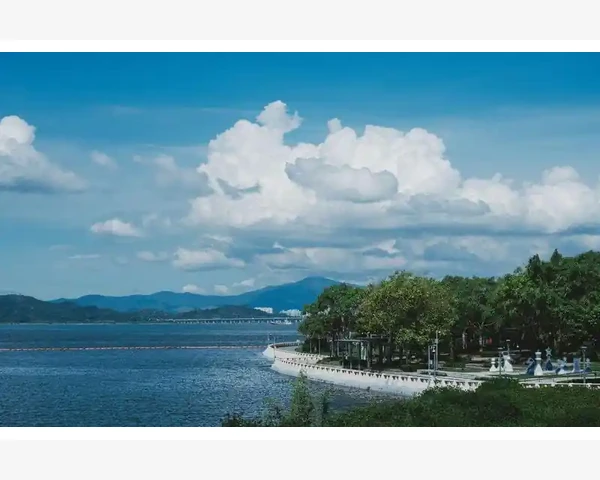 B2B平台类型与选择策略_B2B模式如何重塑企业间交易逻辑