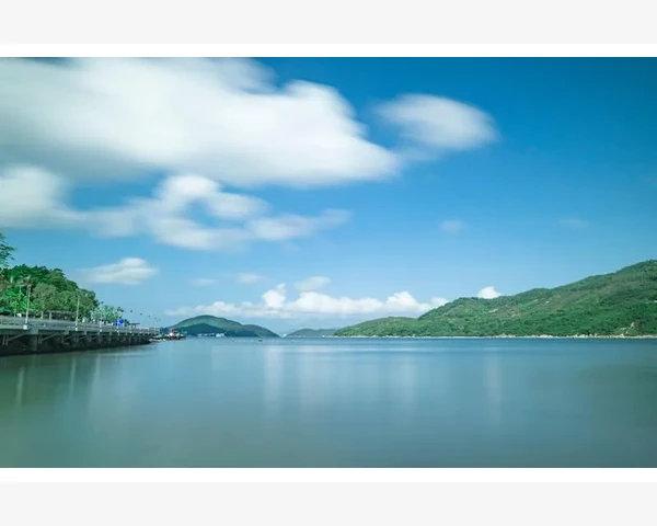 商用燃气烤藿香籽机烤夹使用与养护要点_B2B形式的主要类型与适用场景