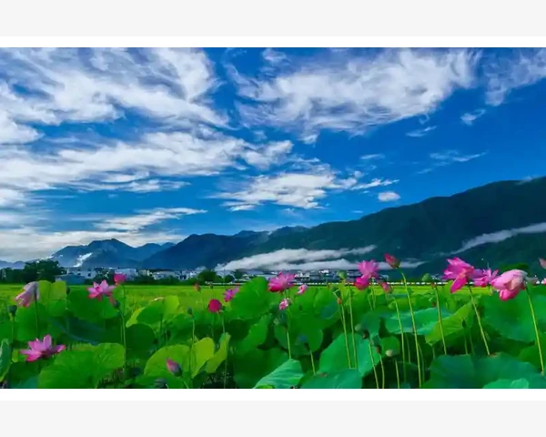 MT4模拟盘交易成本与实盘差异究竟在哪_时间差值测量帮你把握行情节奏