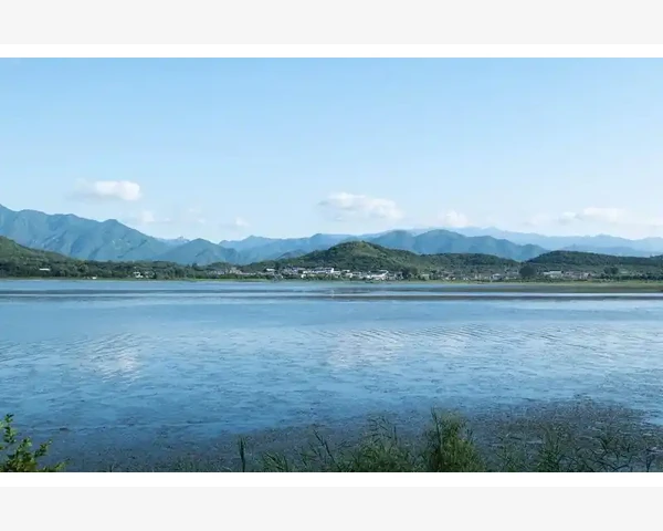 MT4订单成交详情查看方法详解_锁定功能在实战中的巧妙搭配用法