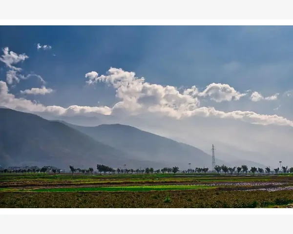 B2B免费优化标题详情与上架频率主次_精准匹配连锁品牌的痛点